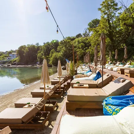 Paradise Bay 3*
